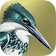 iBird Lite Free Guide to Birds icon