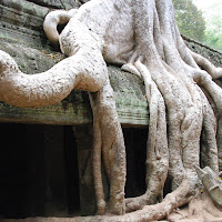 nel tempio di angkor Cambogia di 