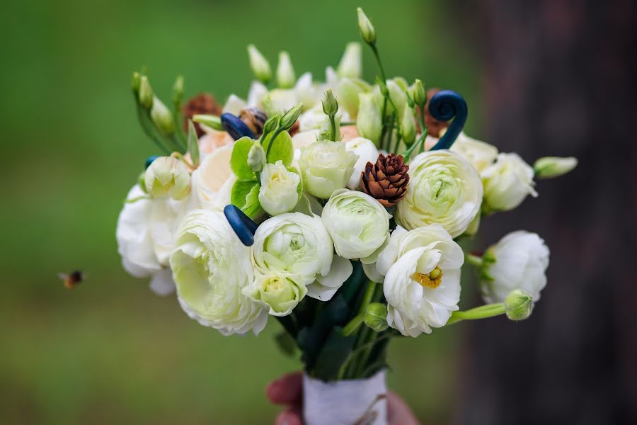 Wedding photographer Darina Limarenko (andriyanova). Photo of 15 September 2016