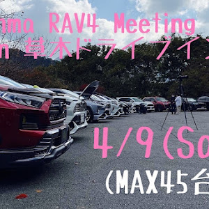 RAV4 MXAA54