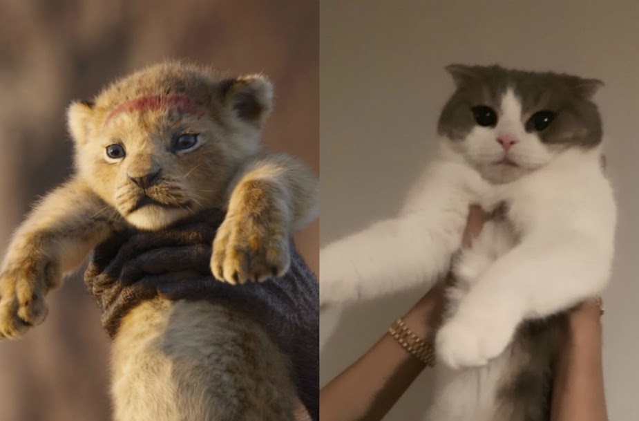 the lion king_leo_simba_blackpink_lisa2