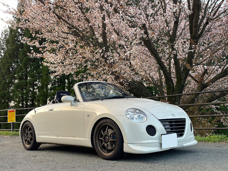 コペンのサクラと愛車に関するカスタム事例の投稿画像3枚目