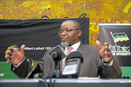 ANC secretary-general Gwede Mantashe. File photo.