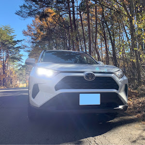 RAV4 MXAA52