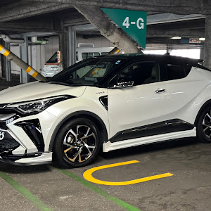 C-HR ZYX11