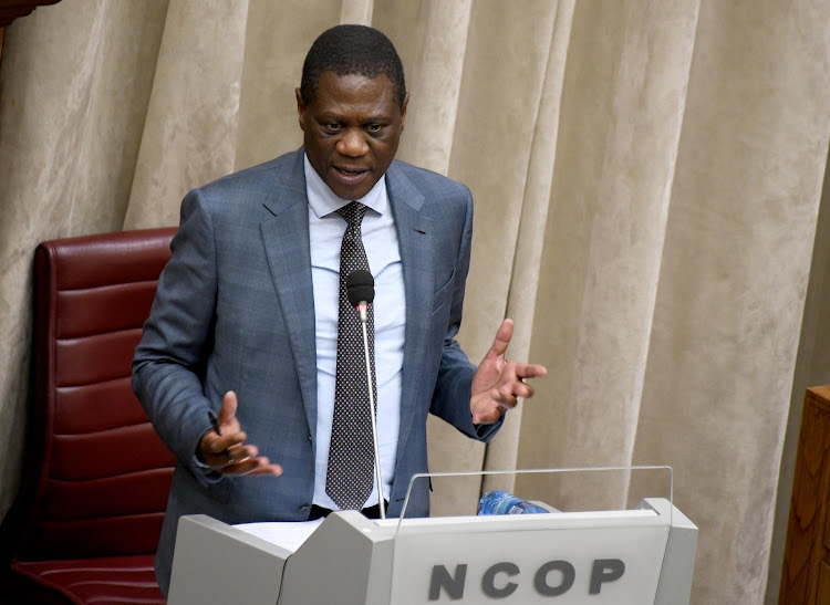 Deputy president Paul Mashatile appeared before the National Council of Provinces on Thursday.