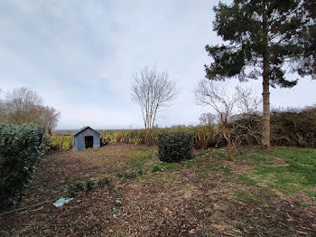 maison à Javron-les-Chapelles (53)