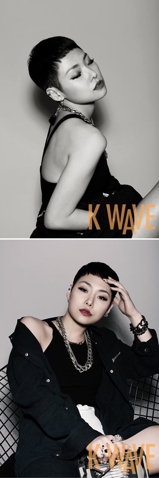 Cheetah for KWAVE