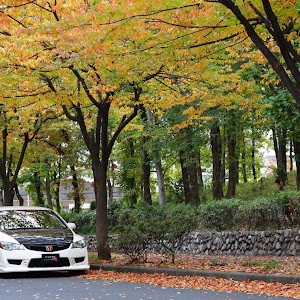 シビックタイプR FD2