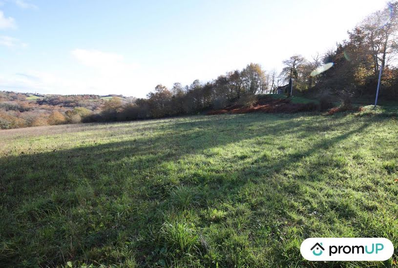  Vente Terrain à bâtir - 1 620m² à Casteide-Cami (64170) 