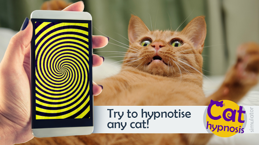 無料模拟Appの猫の催眠です。 シミュレータ|記事Game