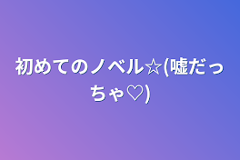 初めてのノベル☆(嘘だっちゃ♡)