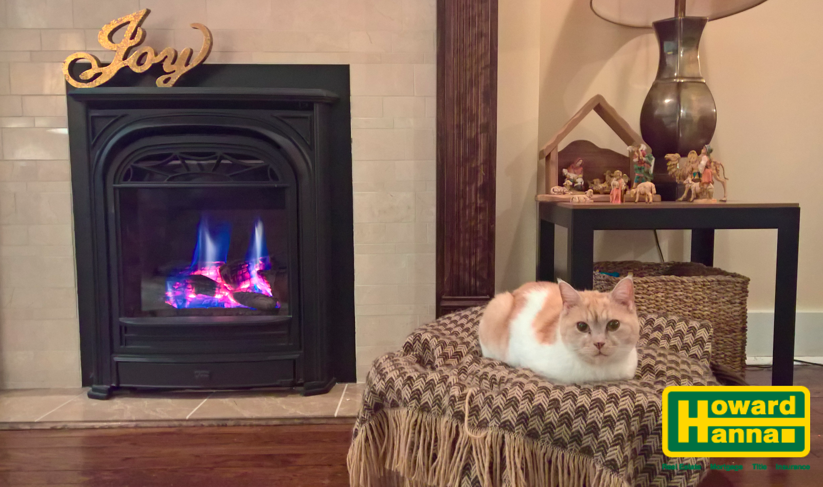 A Cat in Front of a Fireplace