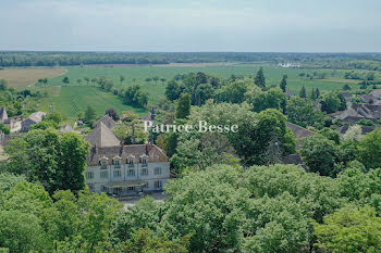 château à Beaune (21)