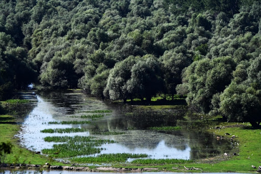 Dodeljena priznanja Zeleni i Crni list za zaštitnike i zagađivače životne sredine