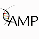 AMP Meetings Download on Windows