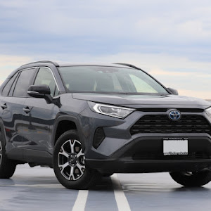 RAV4 AXAH52