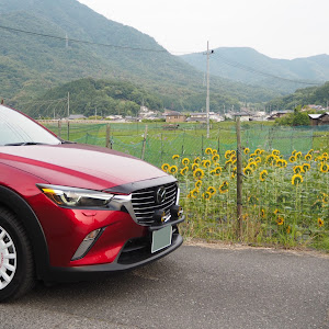 CX-3 DK5AW