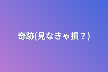 奇跡(見なきゃ損？)