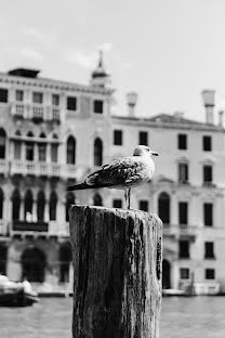 Φωτογράφος γάμων Anna Evgrafova (fishfoto). Φωτογραφία: 20 Οκτωβρίου 2017