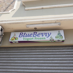 Blueberry Frozen Yogurt