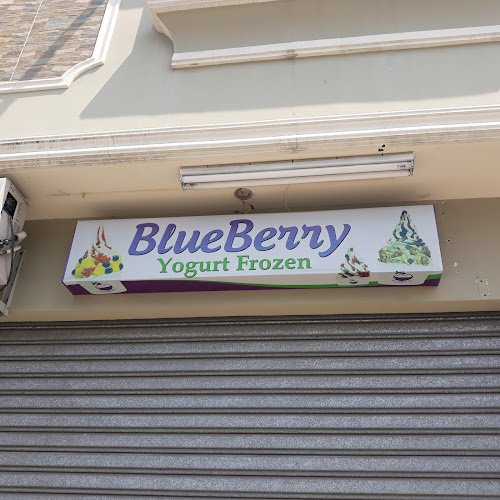 Blueberry Frozen Yogurt