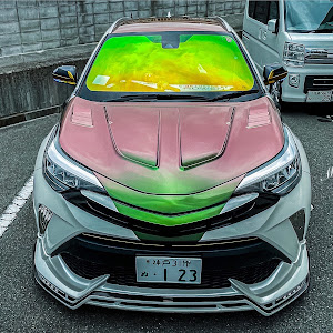 C-HR ZYX11