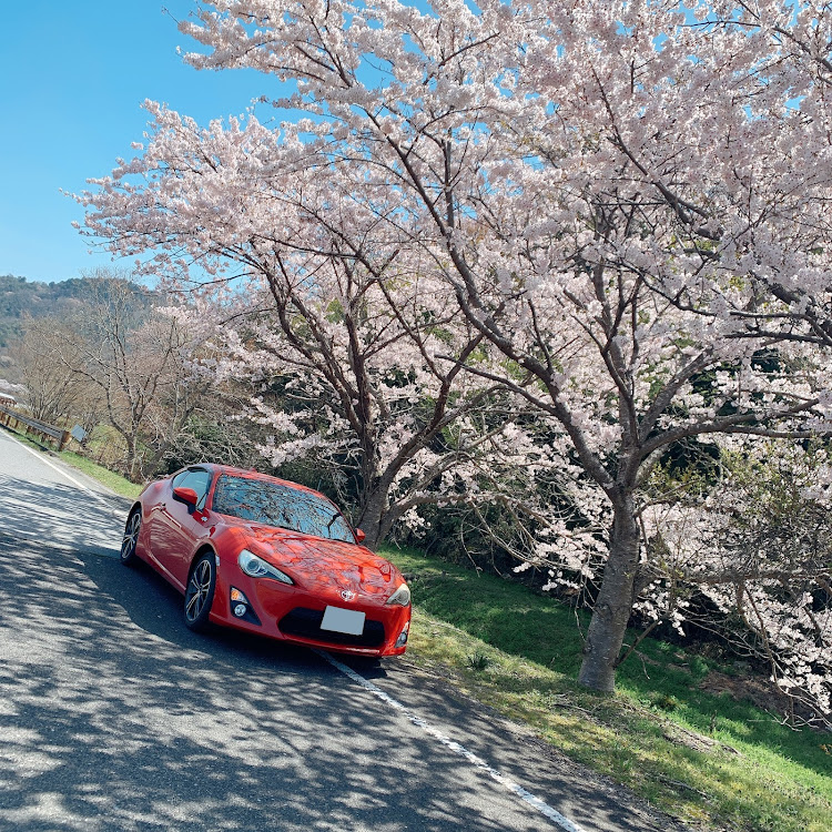 86のFun to Driveに関するカスタム事例の投稿画像3枚目