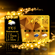 Download Glitter Gold Live Weather HD For PC Windows and Mac 7.2.9.d_release