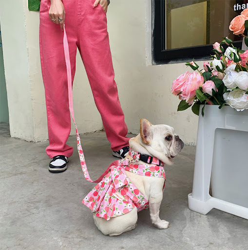 Title 2, Universal cotton blue and white dog skirt with ...