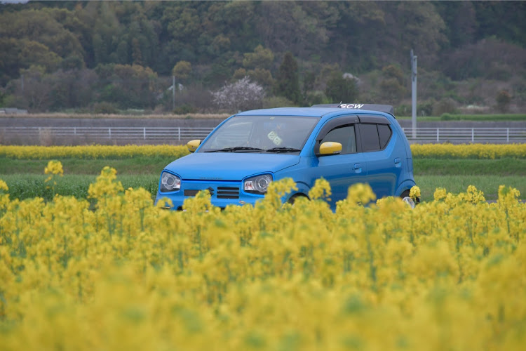 アルトワークスのサクラと愛車・桜とコラボ・4月もよろしくお願い致します🌸・桜コラボ・桜に関するカスタム事例の投稿画像4枚目