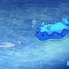 ユーザー