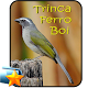 Download Canto Trinca Ferro Boi For PC Windows and Mac 1.0