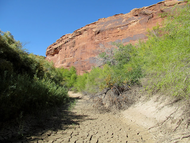 Mouth of tenmile canyon