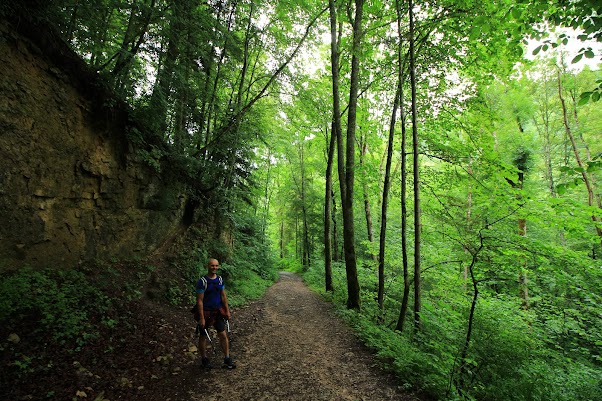 Ruta de Wutachschulcht -LUNES 10 DE JULIO - 15 días por la Selva Negra y la Alsacia Francesa (3)