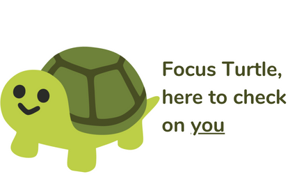 Focus Turtle small promo image