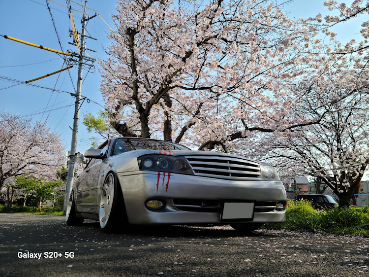 グロリアの東海輩会・全日輩・SO魂UL❤宜しくお願い致します❤・サクラと愛車・目指せPickUpCarsに関するカスタム事例の投稿画像12枚目