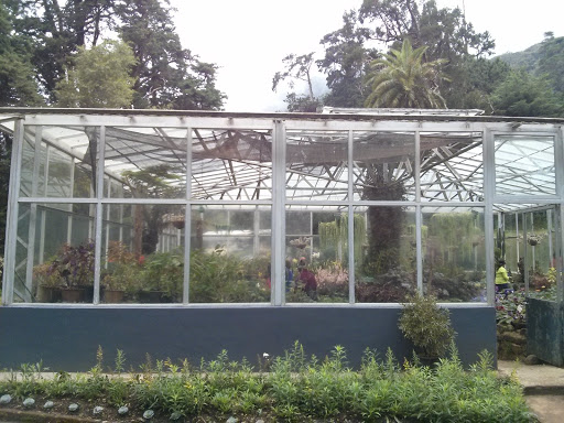 Glass House 