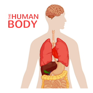 Download The Human Body For PC Windows and Mac