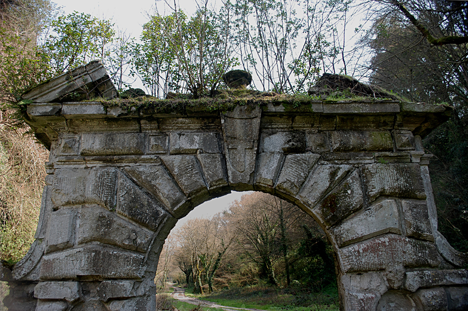 è nel bosco di mauriziosettimi