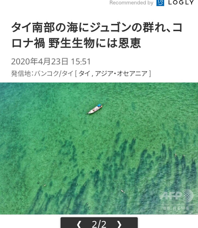 Q5の#STAY HOME・happyバトン💫・地球は蒼かった🌏・🐭HERO or VILLAIN💩に関するカスタム事例の投稿画像40枚目