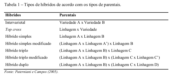 Tipos de híbridos para plantio de milho