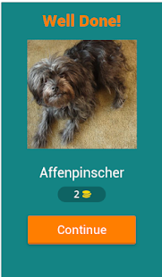 Dog Breeds Quiz - New 2019(圖2)-速報App