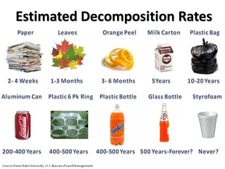 Image result for rates of decomposition