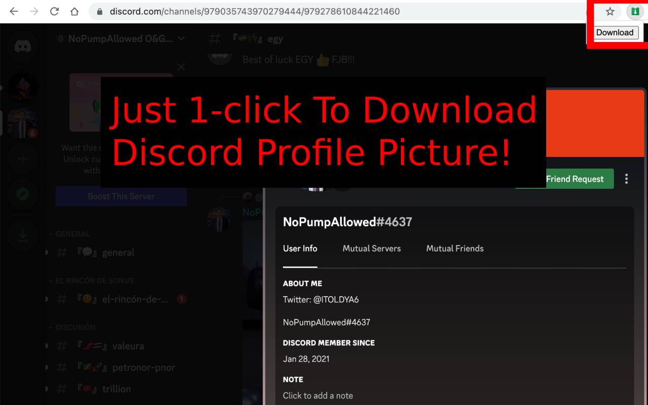 Profile Picture Downloader for Discord™ Preview image 0