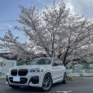 X3 xDrive 20d