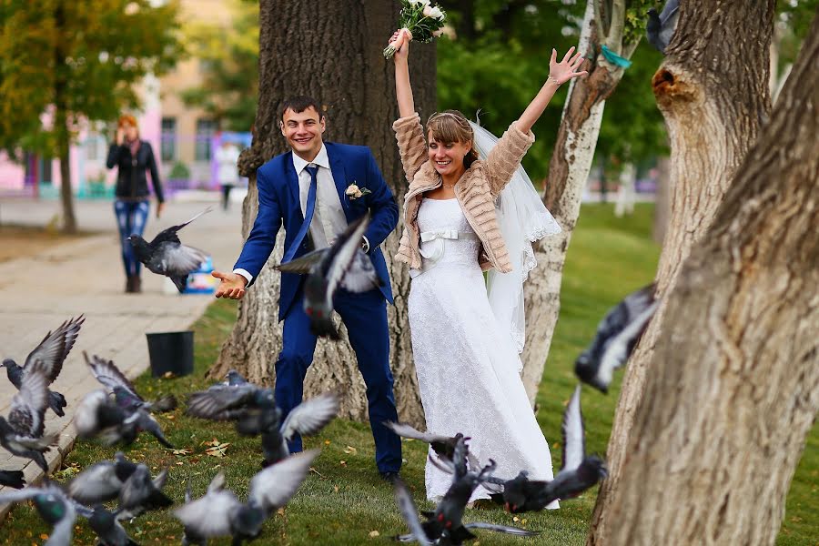 Wedding photographer Svetlana Sokolova (sokolovasvetlana). Photo of 19 November 2014