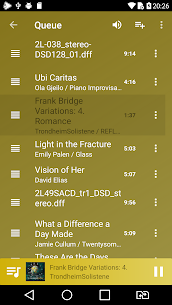 USB Audio Player PRO 5.5.4 Paid Patcher APK 4