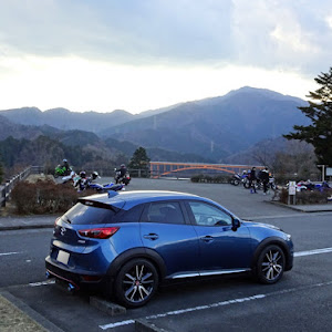 CX-3 DK5FW