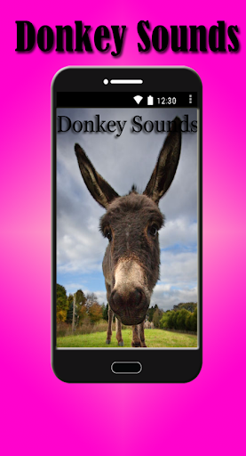 Donkey Sounds